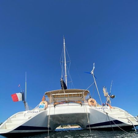 Catamaran Cypraea Hotel Terre-De-Haut ภายนอก รูปภาพ