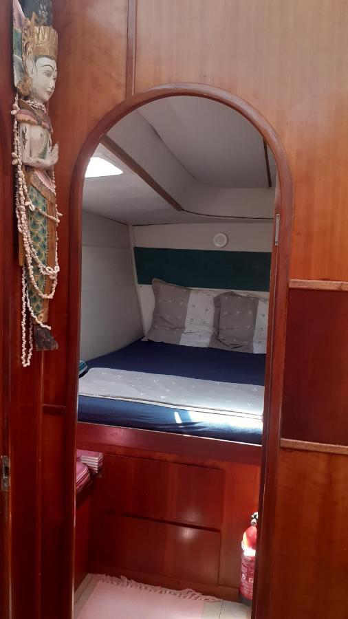 Catamaran Cypraea Hotel Terre-De-Haut ภายนอก รูปภาพ