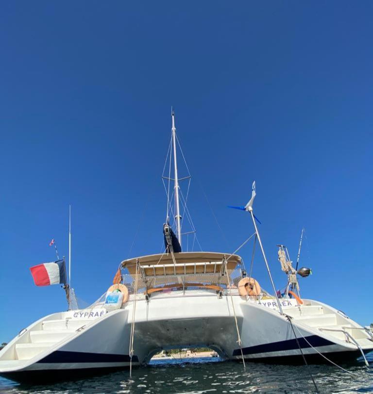 Catamaran Cypraea Hotel Terre-De-Haut ภายนอก รูปภาพ