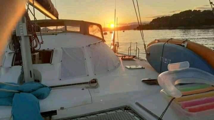Catamaran Cypraea Hotel Terre-De-Haut ภายนอก รูปภาพ